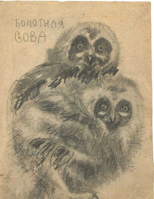 Эвенбах Евгения Константиновна. Болотная сова 